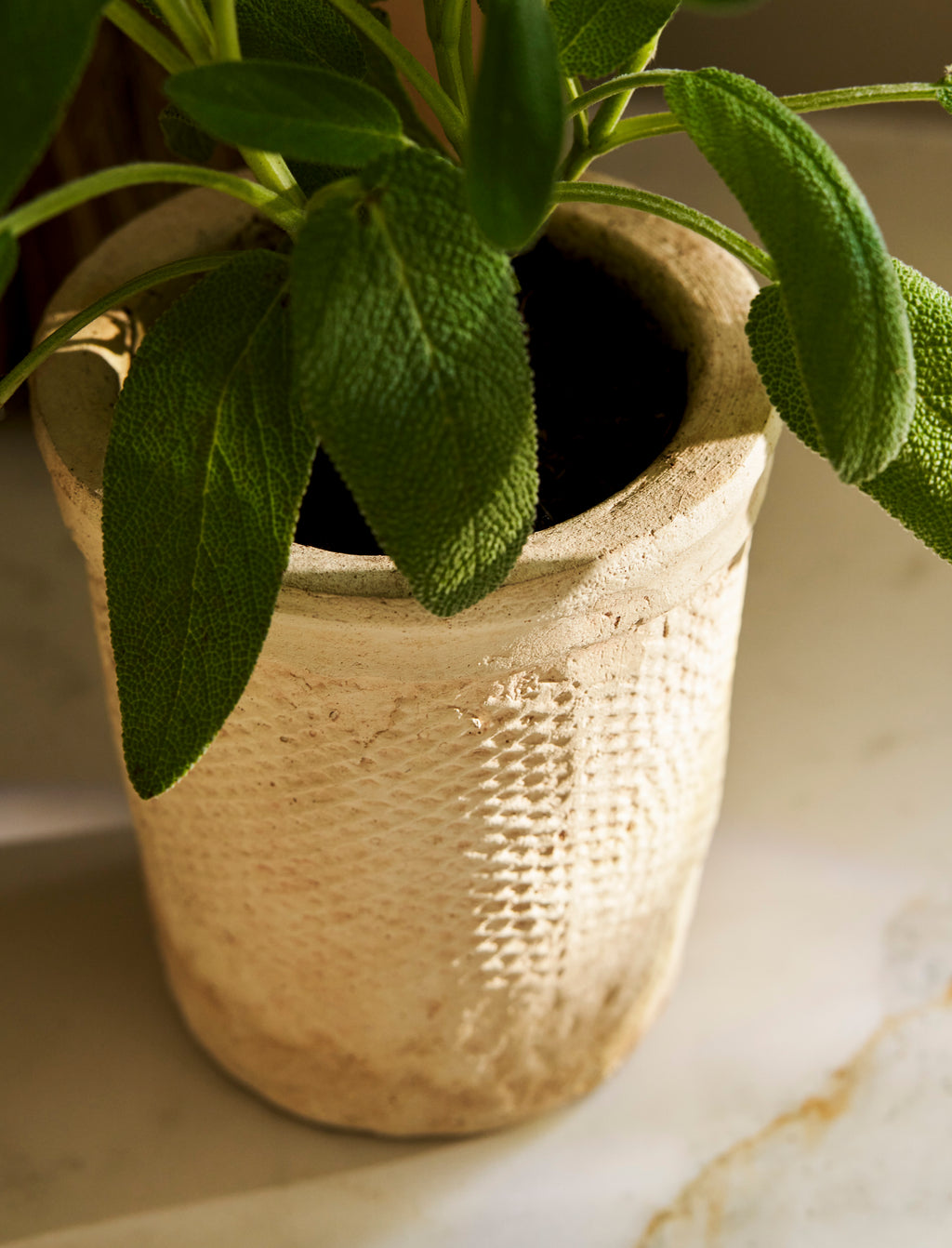 Dursley Textured Pot 10cm - Stoneware, Natural