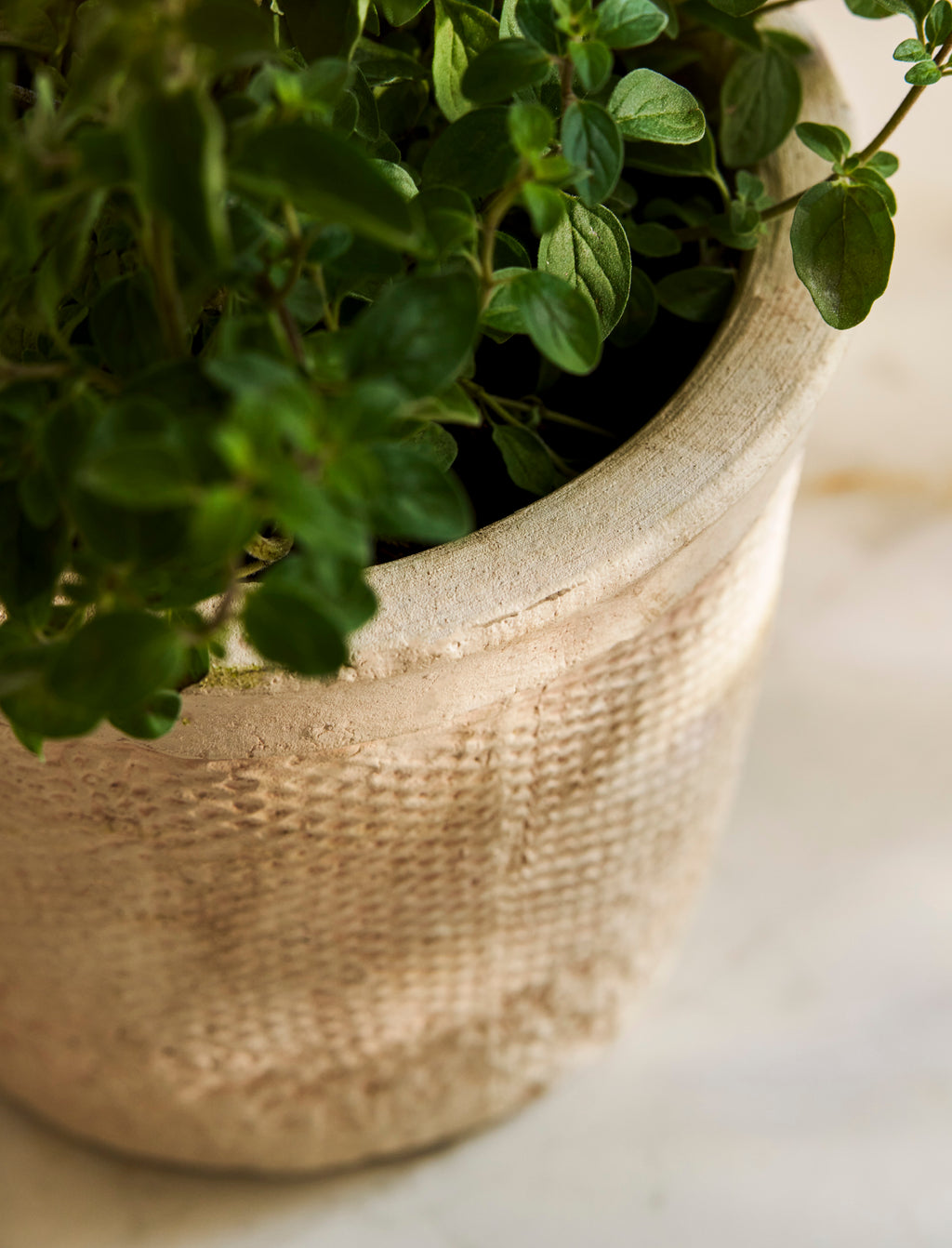 Dursley Textured Pot 16cm - Stoneware, Natural