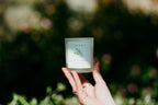 Cohen & Co Bay & Rosemary Candle