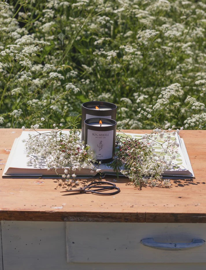 Bog Myrtle Soy Wax Candle