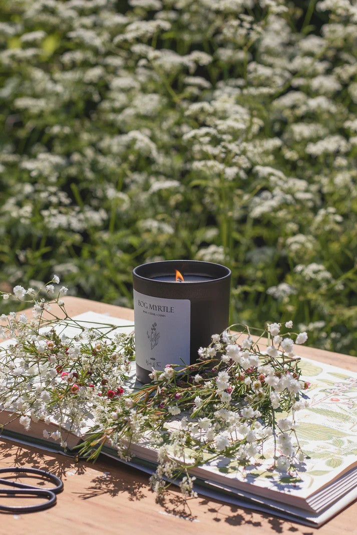 Bog Myrtle Soy Wax Candle