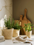 Dursley Textured Pot 10cm - Stoneware, Natural