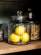 COOMBE RIBBED STORAGE JAR - GLASS, MEDIUM