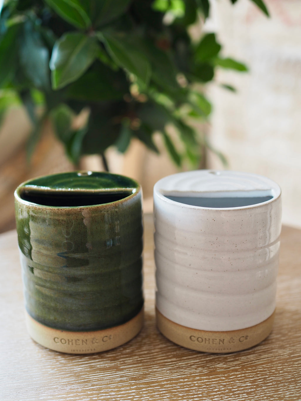 Cohen & Co. Ceramic Travel Mug - Green
