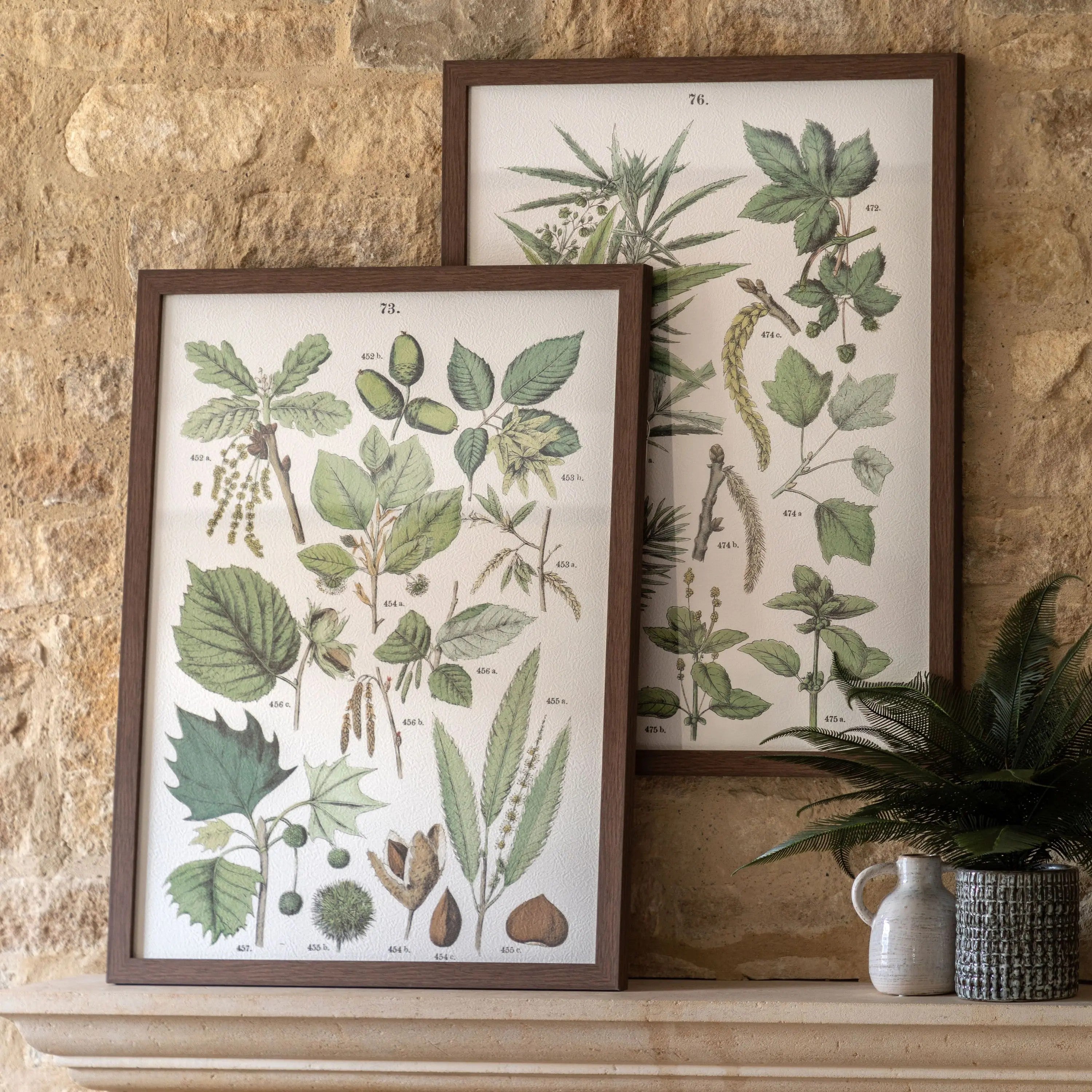 Foliage Study Pair