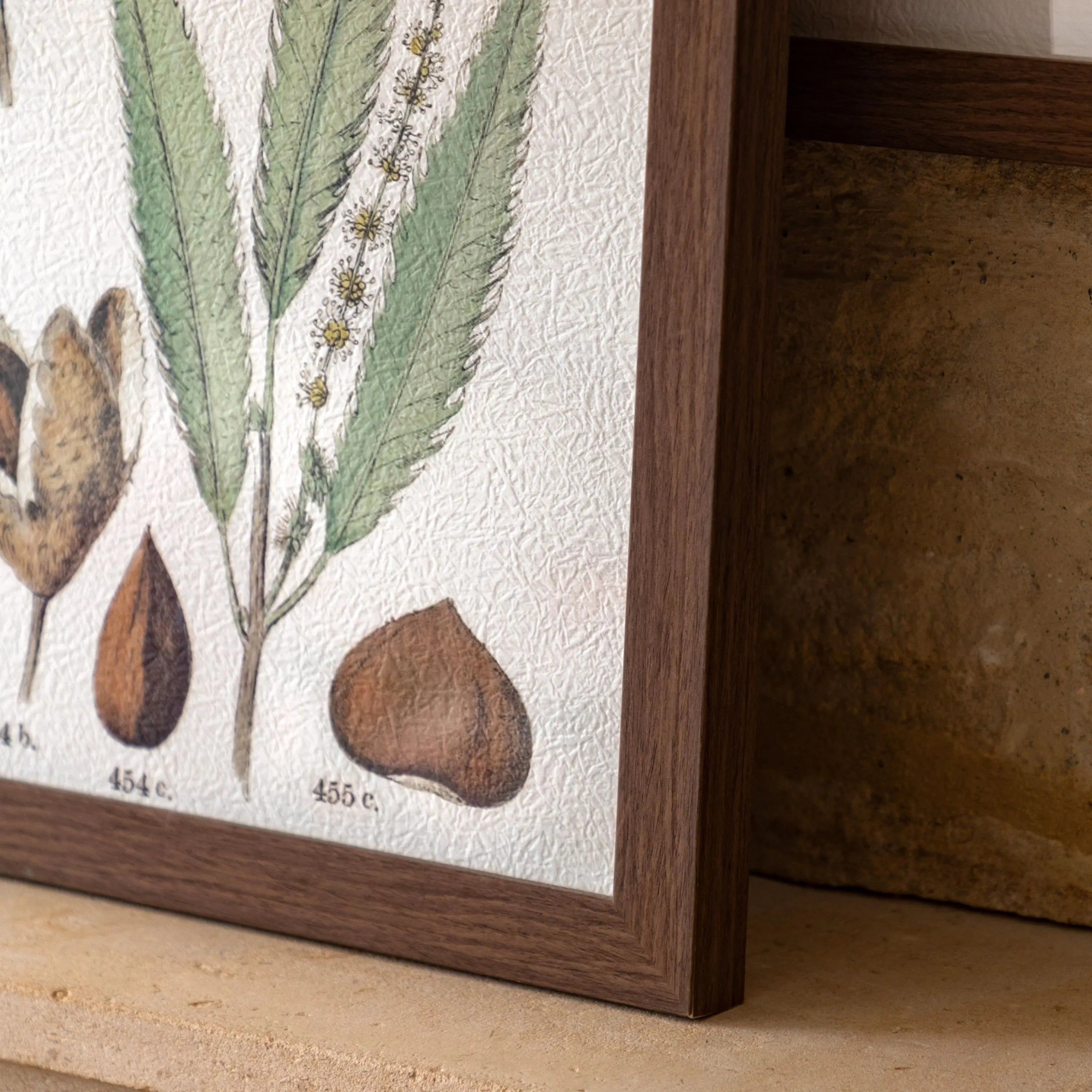 Foliage Study Pair