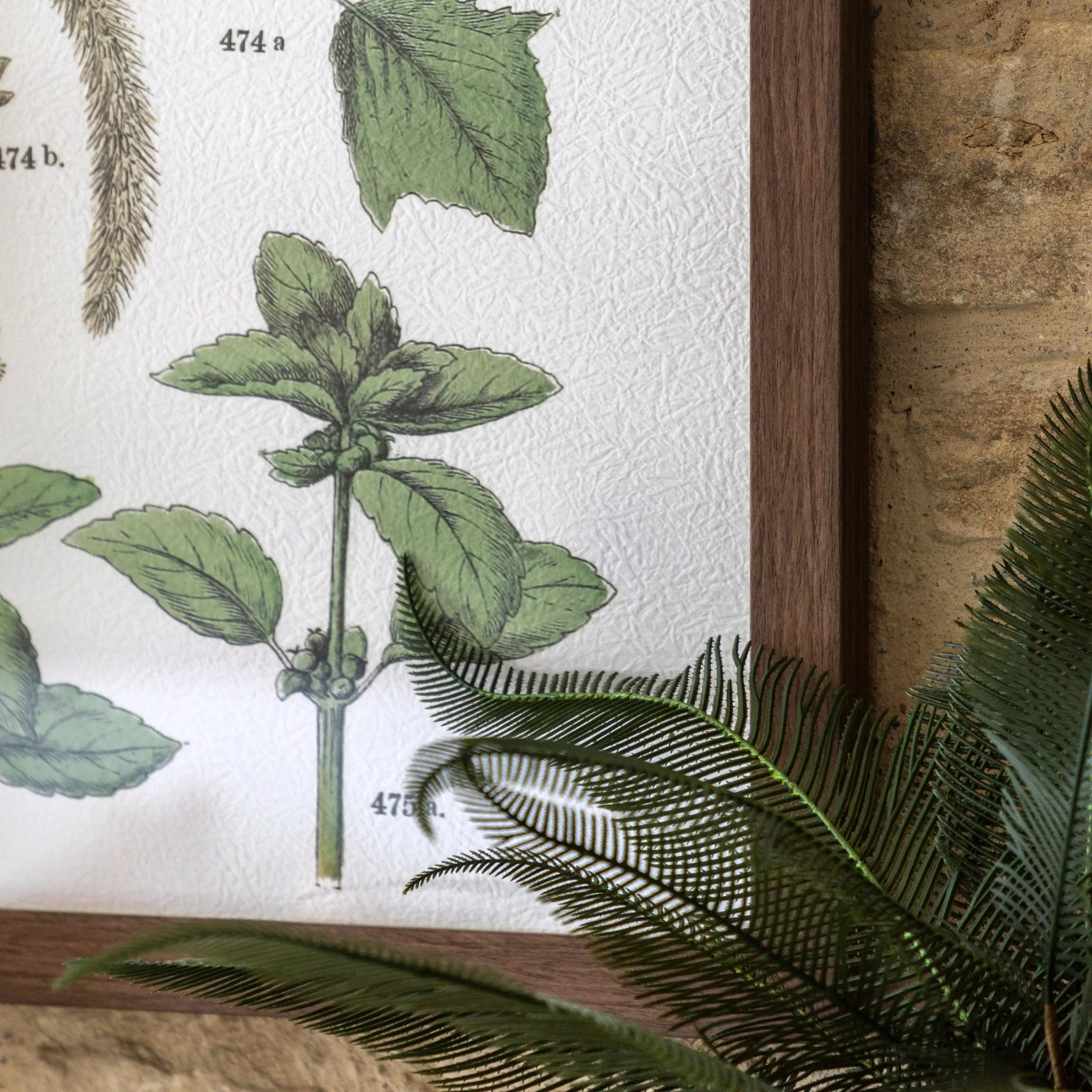 Foliage Study Pair