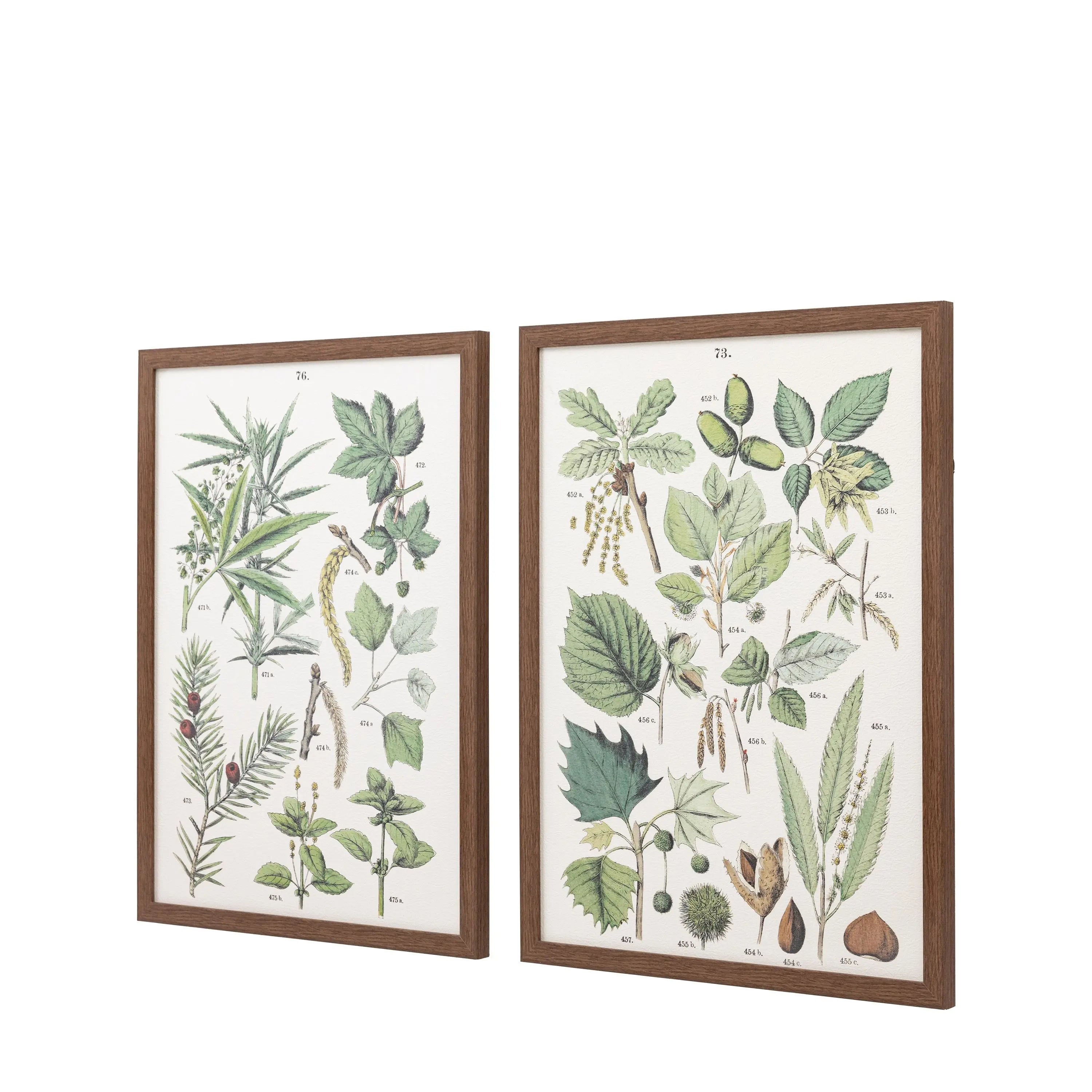 Foliage Study Pair