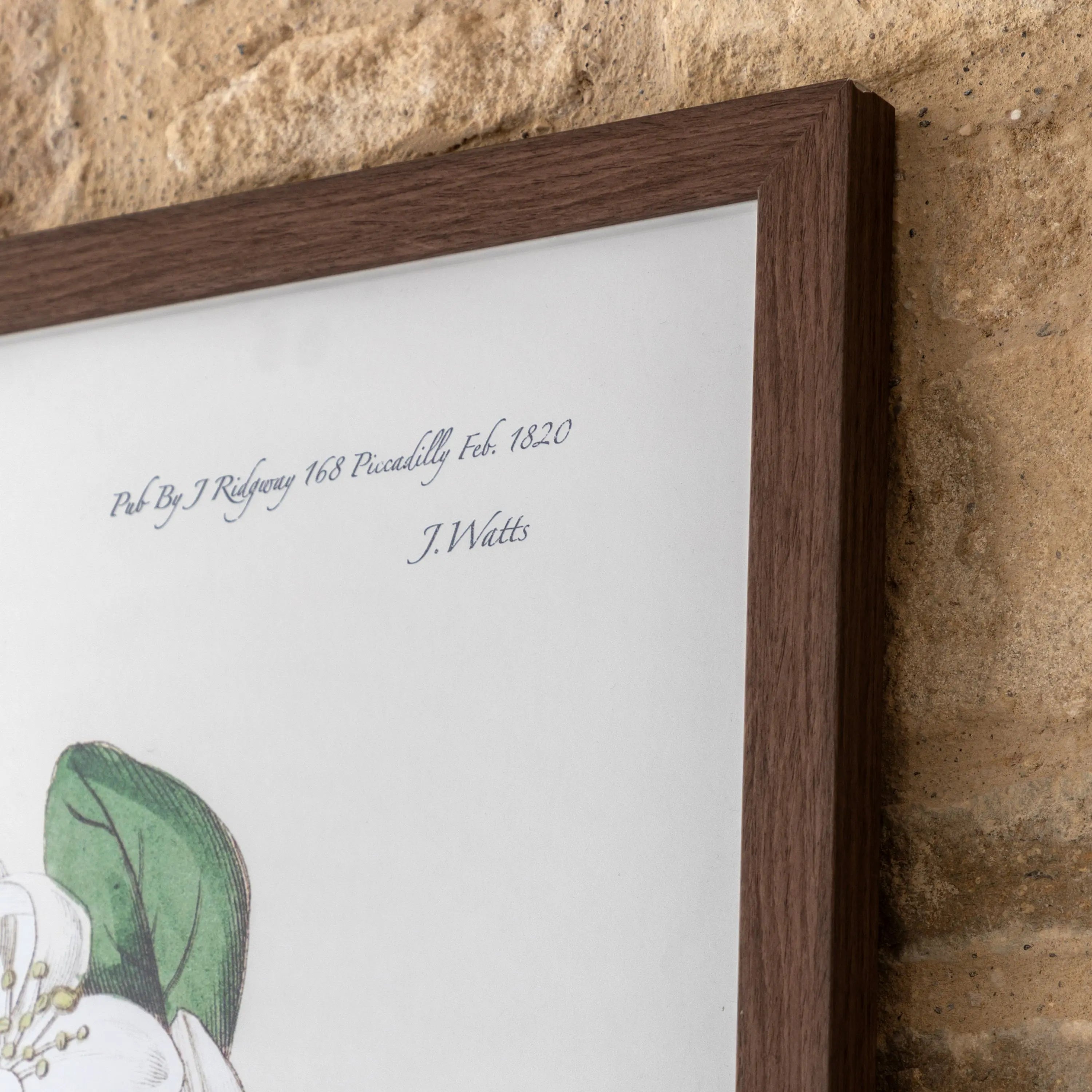 Foliage & Blooms Framed Print