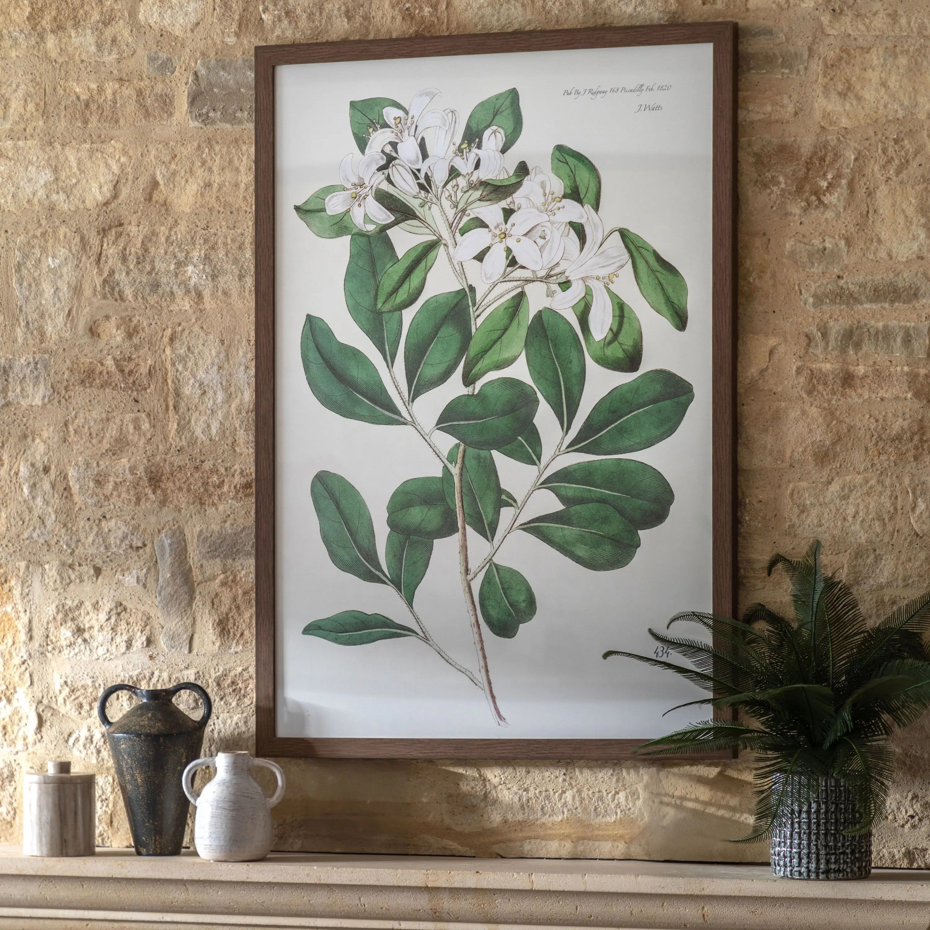 Foliage & Blooms Framed Print