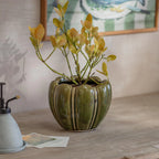 Berrington Pot