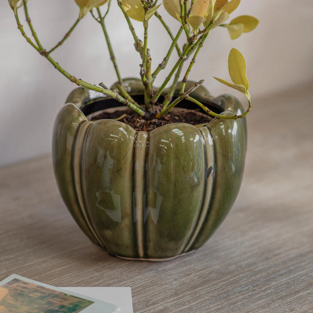 Berrington Pot