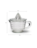 Glass Juicer with Jug