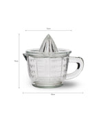 Glass Juicer with Jug