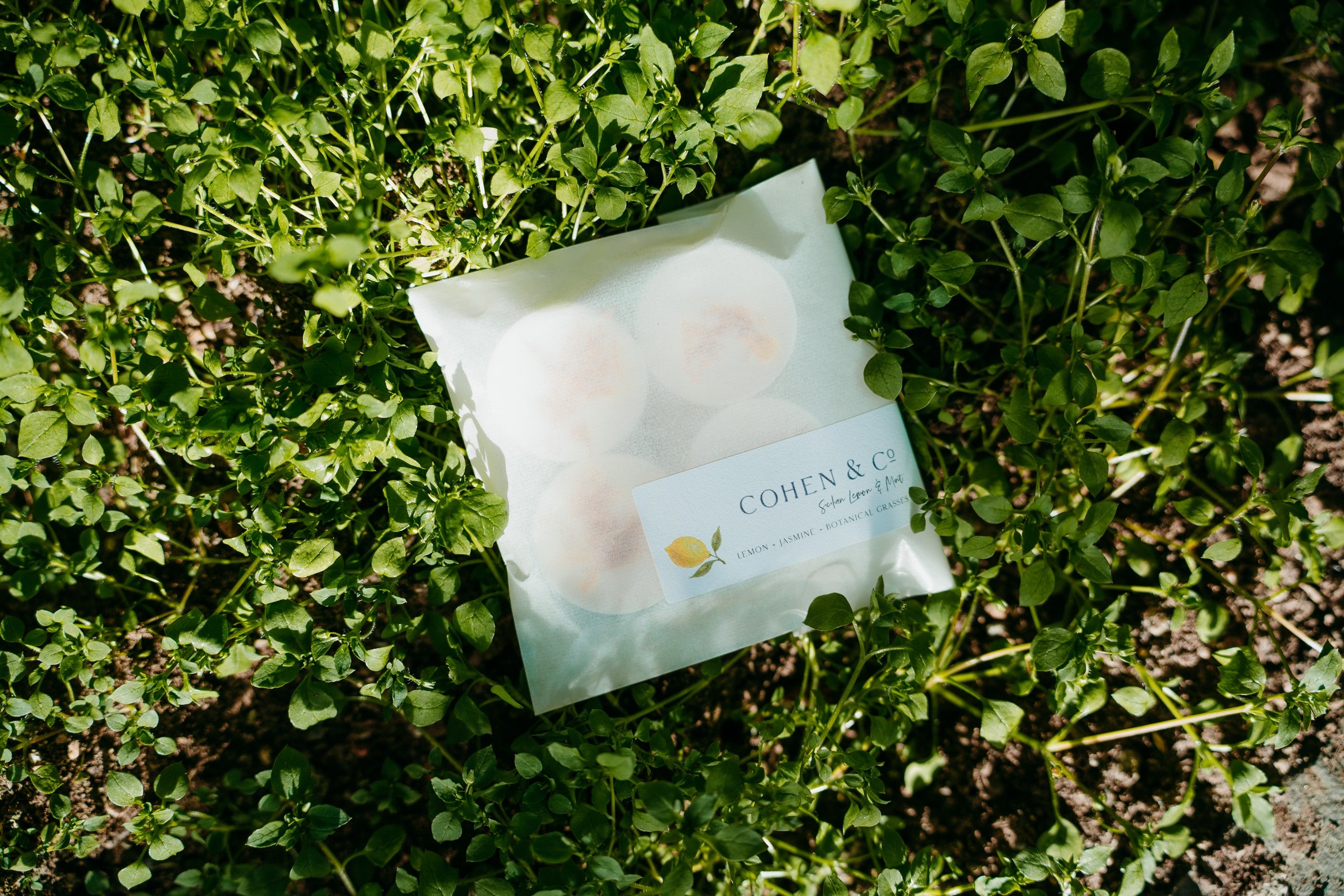 Cohen & Co Sicilian Lemon & Mint Wax Melts