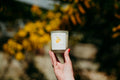 Cohen & Co Sicilian Lemon & Mint Candle