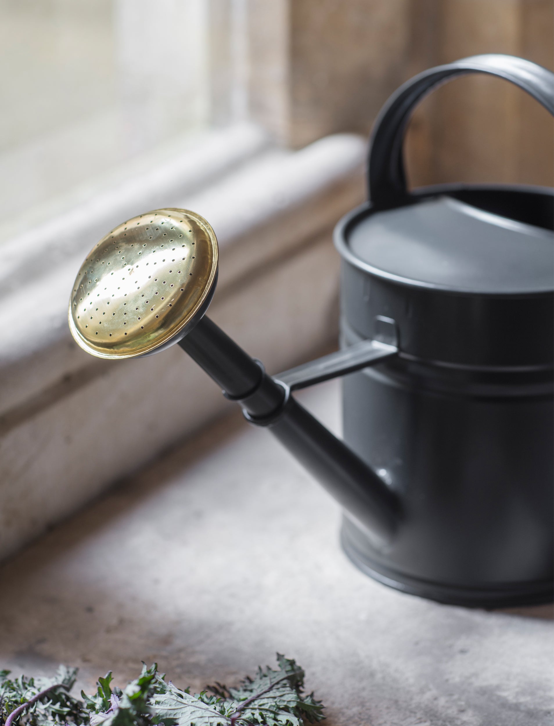 Classic Watering Can 5L Carbon