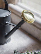 Classic Watering Can 10L - Charcoal