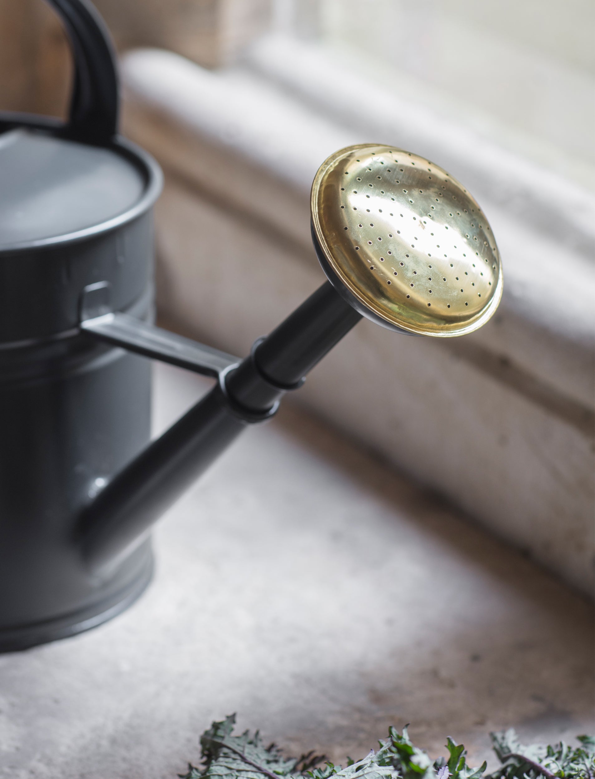 Classic Watering Can 10L - Charcoal
