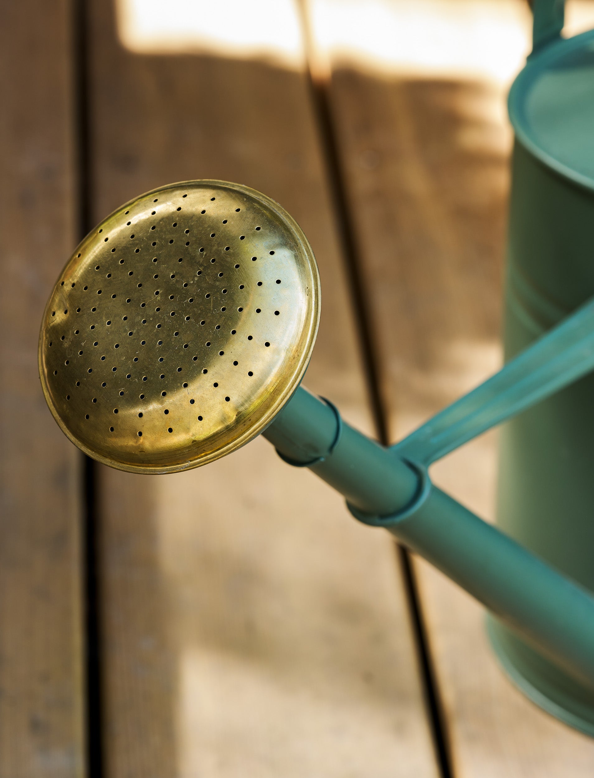Classic Watering Can 10L - Thistle Green