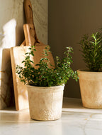 Dursley Textured Pot 16cm - Stoneware, Natural