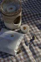 Cohen & Co Citrus & Coriander Soy Wax Melts